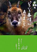 森の「いろいろ事情がありまして」 : ピッキオと軽井沢野鳥の森の仲間たち