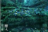 樹よ。 : 屋久島の豊かないのち
