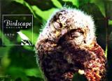 Birdscape : 野鳥のいる風景