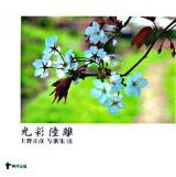 光彩陸離 ＜上野正彦写歌集 / 上野正彦 著 3＞