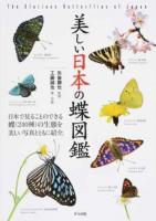美しい日本の蝶図鑑