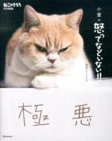 小雪の怒ってなどいない!!