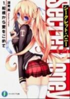 シークレット・ハニー 1 (船橋から愛をこめて) ＜富士見ファンタジア文庫 ふ-1-2-1＞