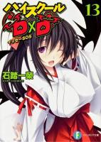 ハイスクールD×D 13 (イッセーSOS) ＜富士見ファンタジア文庫 い-3-1-13＞