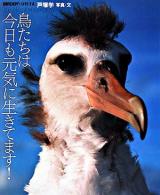 鳥たちは今日も元気に生きてます! ＜Birder special＞