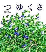 つゆくさ