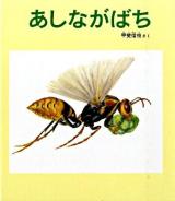 あしながばち