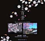 京都桜百景 ＜Suiko books 140＞