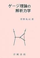 ゲージ理論の解析力学