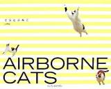 そらとぶねこ