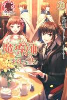 魔導師は平凡を望む 2 ＜アリアンローズ＞