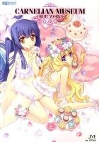 CARNELIAN MUSEUM : ORBIT WORKS ＜Jive fan book series＞