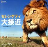 セレンゲティ大接近 ＜NATIONAL GEOGRAPHIC＞