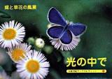 光の中で‐蝶と草花の風景 : A Souvenir Postcard Book ＜京都書院アーツコレクション＞