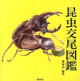 昆虫交尾図鑑