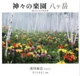 神々の楽園八ケ岳 : 縄文日本の原風景