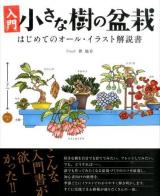 入門小さな樹の盆栽