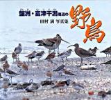 盤洲・富津干潟周辺の野鳥 : 田村満写真集