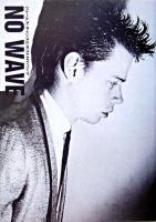 No wave : ジェームス・チャンスとポストNYパンク