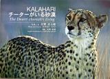 Kalahariチーターがいる砂漠