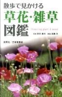 散歩で見かける草花・雑草図鑑