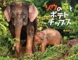 ゾウの森とポテトチップス ＜そうえん社写真のえほん 11＞