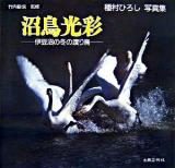 沼鳥光彩 : 伊豆沼の冬の渡り鳥 : 種村ひろし写真集