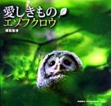 愛しきものエゾフクロウ ＜Seiseisha photographic series＞
