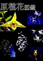 原種花図鑑