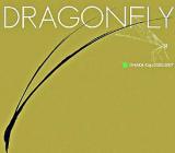 Dragonfly : Onaka Koji=2002-2007