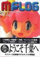 MFLOG : modelers festival log 3 (real エスカレーター事故から1年新生ワンフェス幕張メッセ開催に期待)