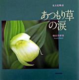 あつもり草の涙 : 礼文花物語