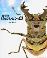 探そう!ほっかいどうの虫 増補改訂版