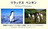リラックスペンギン