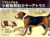 イラストでみる小動物解剖カラーアトラス