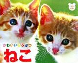 ねこ : かわいいどうぶつ ＜ジュリアンのしゃしんえほん 2＞