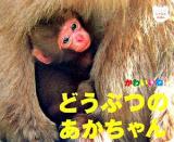 どうぶつのあかちゃん : かわいいね! ＜ジュリアンのしゃしんえほん 3＞
