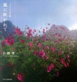 風に吹かれて : フォトエッセイ集