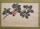 椿 貞雄筆　「椿花図」　米沢市出身の画家