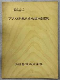 ブナ材予備防腐処理写真図説