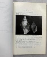 北太平洋の貝類1－18号／19号　千葉蘭児先生追悼