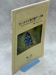ランカウイ島の蝶データ集