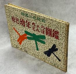 原色幼年ちょうとんぼ図鑑
