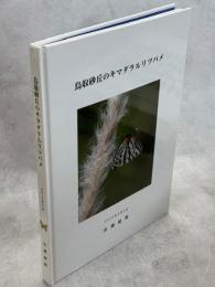 鳥取砂丘のキマダラルリツバメ