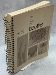 How to know the Beetles