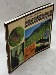 共生する生きものたち : クロシジミとクロオオアリの相利共生