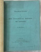 A Revision of the Oriental Hesperiidae