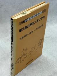 屋久島の野生ニホンザル