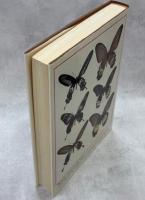 Butterflies of the South East Asian Islands