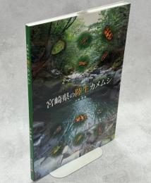 宮崎県の陸生カメムシ